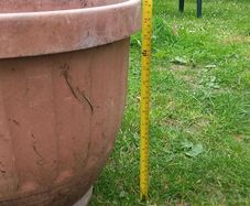 large plant pot