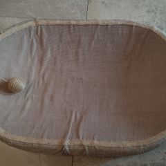 Cat scratching board