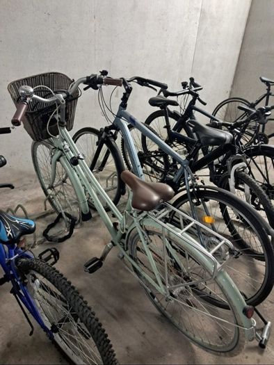 Raleigh for sales
