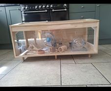 Hamster Enclosure and Accessories