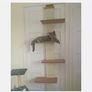 cat climber door Image 3