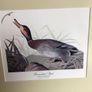 4 large wildfowl prints Framed Image 3