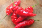 Chili Pepper 'Aji Largo' Irish Seed