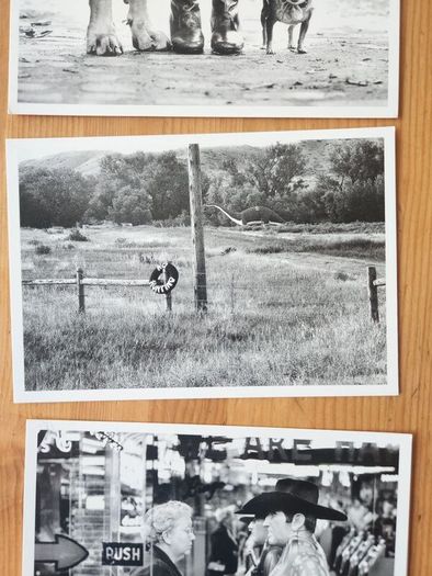 Postcards Black And White X 17 In Presentation Box.  All In Very Good Condition.