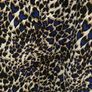 Dressy animal print top Image 4