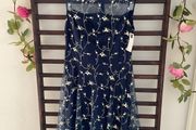 dress Bnwt Paisie occasion wear dress size 10