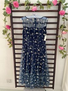 dress Bnwt Paisie occasion wear dress size 10