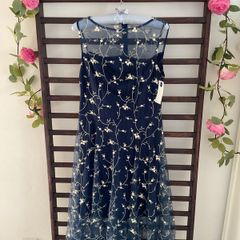 dress Bnwt Paisie occasion wear dress size 10