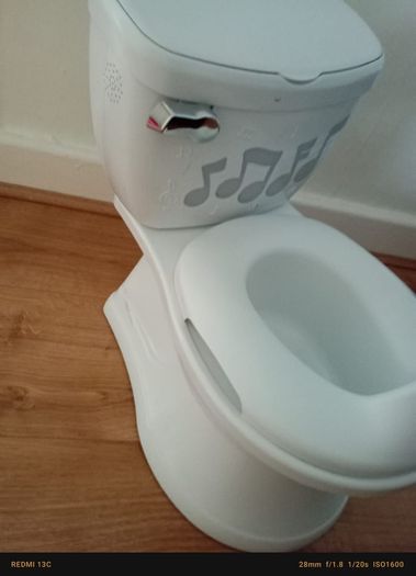 musical toilet