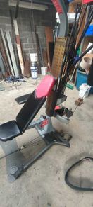 Bowflex Blaze Multigym