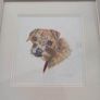 FRAMED A portrait of a curious young Border Terrier  a colored pencil original on pastel mat. Image 2