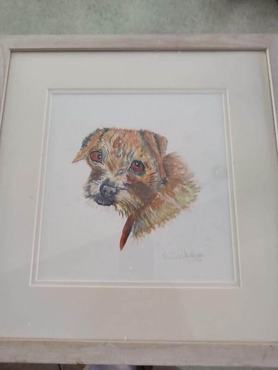 FRAMED A portrait of a curious young Border Terrier  a colored pencil original on pastel mat.