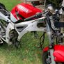 er honda suzuki Image 10