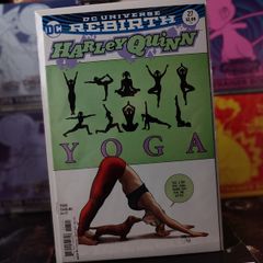 Harley Quinn ! Issue #27 ! Frank Cho Variant Cover ! 2017 ! by DC Comics !