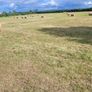 Good Hay  for Sale Co Meath Image 6
