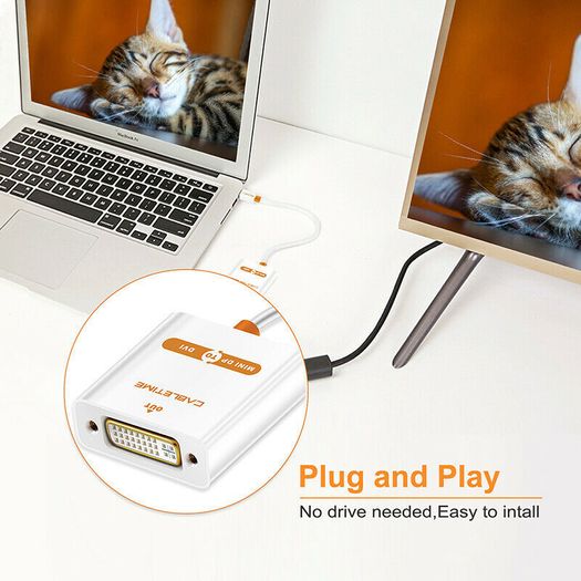 Cabletime Mini DisplayPort to DVI Adapter (Brand New/Warranty)