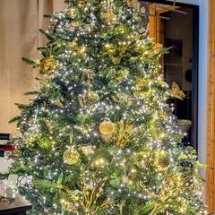 Christmas tree with decorations