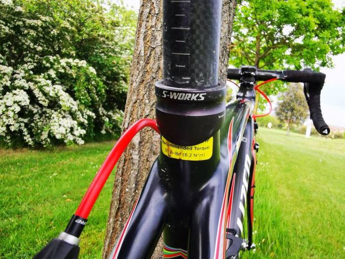 Specialized Tarmac SL2 S-Works Quick Step (54)