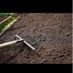 screened topsoil