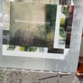 Helen Money - Arriving Angels (Limited/Numbered) Image 3