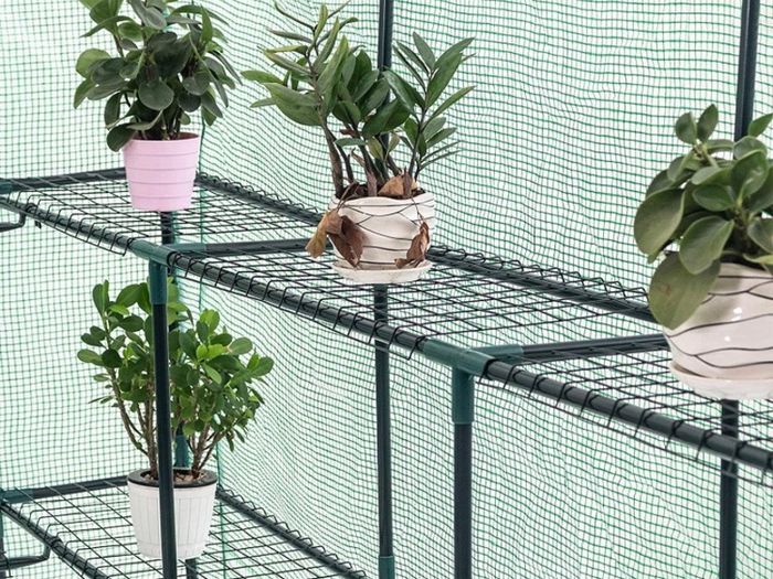 Greenhouse Grow House with 8 Shelves,143 x 216 x 195 cm (FREE POSTAGE)