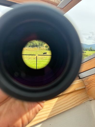 Zeiss Diaviri 3-12x56 T