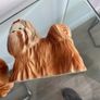 Dogs China Ornaments Shitz Szu Image 7