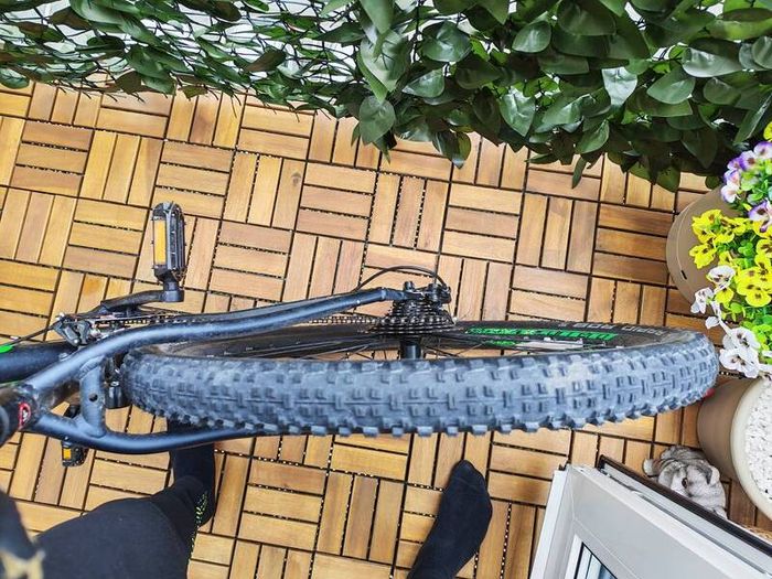 carrera bike