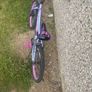 girl bike Image 2