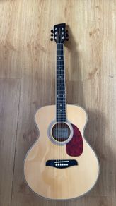 Brunswick acoustic guitar