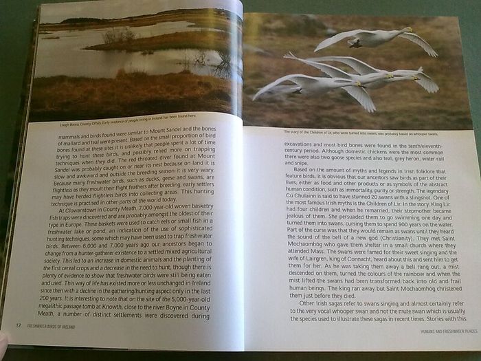 Fresh water birds of Ireland Irish