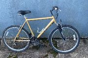 mountain bike 26''