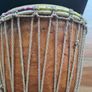 bongo drum Image 3
