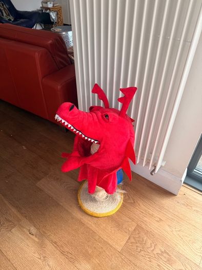 Dragon costume
