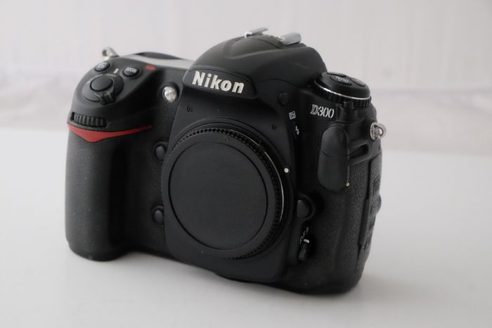 Nikon D300 Shutter Count 38078