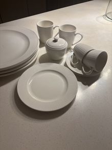 Offers Please - Free Judith Glover Milk Jug with this Bundle - Newbridge Home Fine Dinnerware Bundle- 16 pieces