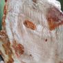 Dolomite Slab Rolling Hills Dolomite Image 10