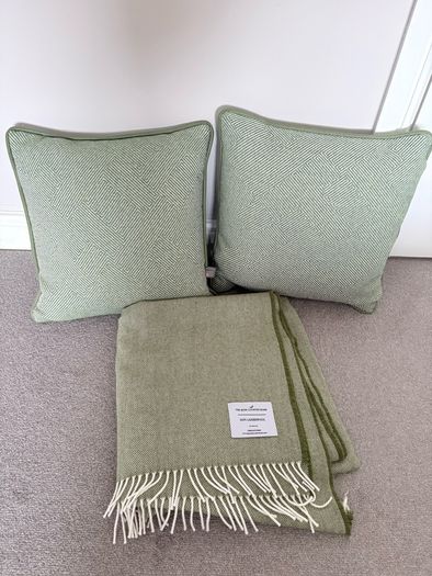 cushion and throw