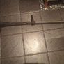 power washer dual lance Image 6