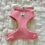 dog accessories + clothes Image 2