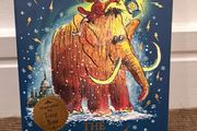 The Ice Monster - David Walliams book