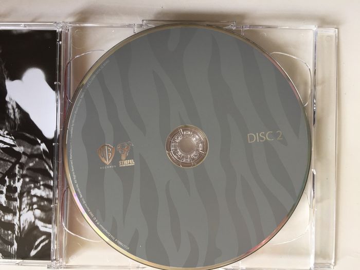Rod Stewart [2008] Some Guys Have All The Luck (2CD Album)