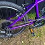 kids bike GIANT ARX20 Image 3