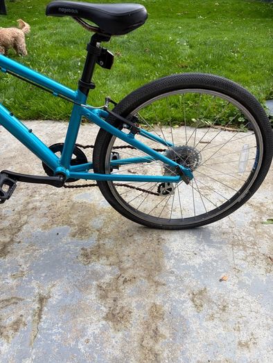 Ridgeback Dimension 24"