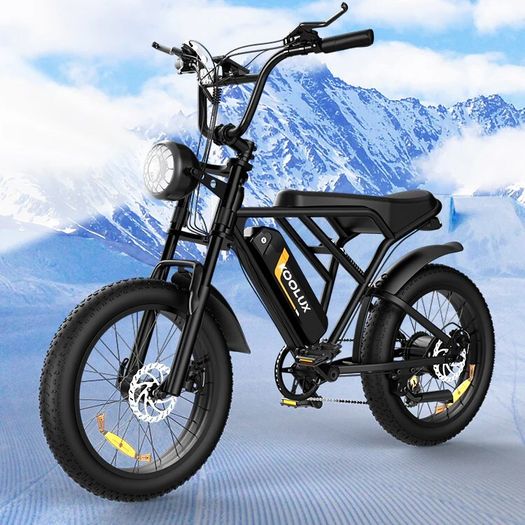 KOOLUX BK29 Electric Off Road Bike