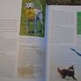 Know your Dog, Dr. David Sands, Hardback book, Non Fiction, Image 5