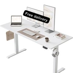Electric Standing Desk, 120 x 60 cm Height Adjustable