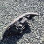 2005 Sprinter Head Light Lamp Image 3