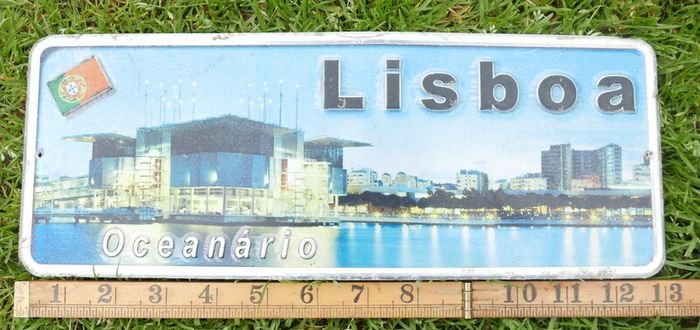 Vintage Wall Decor Car License Plaque Poster (20 each)