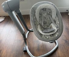 Joie Swivel Swing